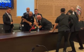 מאבטחי הכנסת מוציאים מוועדת הכנסת את דני אלגרט (צילום: בנצי רובין)