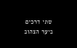 צילום מסך מהקליפ עמית אבני - מכונות של מלחמה (צילום: צילום מסך)