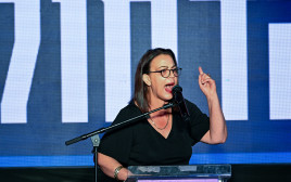 גלית דיסטל אטבריאן (צילום: אריה לייב אברמס)