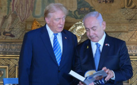 בנימין נתניהו ודונלד טראמפ  (צילום: עמוס בן גרשום/לע״מ)
