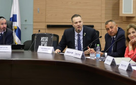 מיקי זוהר  (צילום: דוברות הכנסת, נועם מושקוביץ)