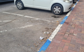 חניה כחול לבן  (צילום: יוסי יוסף)