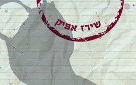 ליל הברווזים (צילום: תומר אפלבאום)