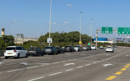 חונים בשוליים. נתב"ג (צילום: רשות שדות התעופה)