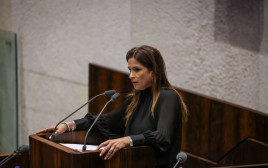 מירב בן ארי (צילום: נועם מושקוביץ, דוברות הכנסת)