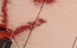 פעילים פרו פלסטינים מרססים את משרדי "אלביט מערכות" בבריסול באנגליה (צילום: צילום מסך)
