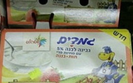 מעדן גמדים (צילום: יהודה לחיאני)