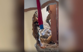 מעבר בין קירות בעזה (צילום: דובר צהל)