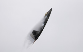 F-22 (צילום: REUTERS/Michael Fiala)
