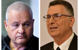 גדעון סער, ישראל זיו (צילום: אבשלום ששוני,משה שי, פלאש 90)