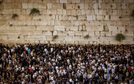 תשעה באב בכותל המערבי (צילום: חיים גולדברג, פלאש 90)