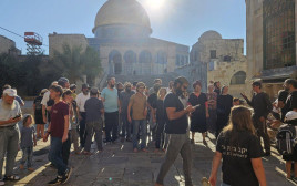 יהודים בהר הבית (צילום: רשתות ערביות)