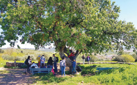 פארק רמת הנדיב (צילום: רוני קיסרי)