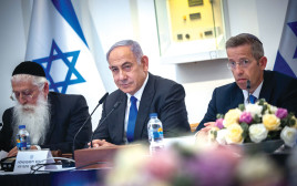 ישיבת הממשלה (צילום: יונתן זינדל, פלאש 90)