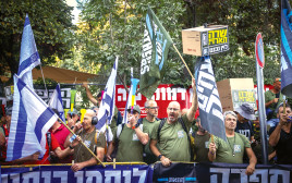 הפגנה של אחים לנשק (צילום:  חיים גולדברג, פלאש 90)