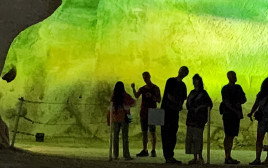 טהירו - וידיאו ארט לצלילי אביתר בנאי  (צילום: דנה סתוי)