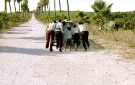 "איים אבודים" (צילום: יחצ)