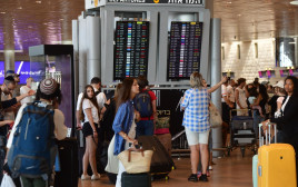 כאוס בנתב"ג לאחר סיכול מתקפת חיזבאללה  (צילום: אבשלום ששוני)