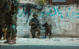פעילות כוחות סיירת חרוב בטול כרם (צילום: דובר צה"ל)