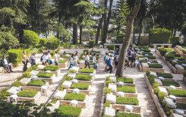 חלקה צבאית (צילום: אוליבייה פיטוסי, פלאש 90)
