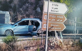 הרכב הממולכד (צילום: TPS)