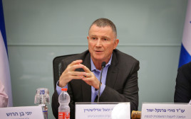 יולי אדלשטיין בדיון בוועדת החוץ והביטחון (צילום: נועם מושקוביץ, דוברות הכנסת)