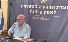 צביקה גרינגולד, ראש עיריית אופקים לשעבר (צילום: ועדת החקירה האזרחית)
