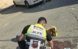 זירת התאונה ברהט (צילום: זק"א)