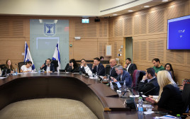 דיון בוועדת הכספים, ארכיון (צילום: נועם מושקוביץ, דוברות הכנסת)