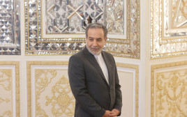 שר החוץ האיראני עבאס עראקצ'י (צילום: Majid Asgaripour/WANA (West Asia News Agency) via REUTERS)