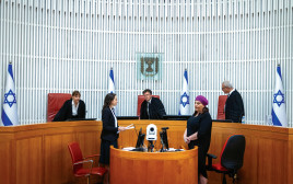 דיון בבית המשפט העליון (צילום: חיים גולדברג, פלאש 90)