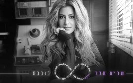 שרית חדד באלבומה החדש (צילום: גיא כושי ויריב פיין)