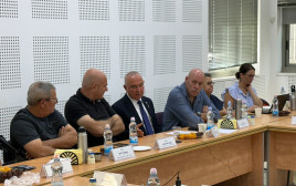 "קשה להתעלם מהעובדה שהצפון מופקר", ח"כ אלי דלל בישיבה על זכויות הילד במלחמה (צילום: דוברות אלי דלל)