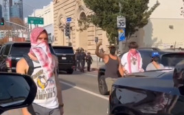 המחאות נגד ישראל באמי (צילום: צילום מסך מתוך האינסטגרם)