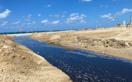 זיהום בחוף הים בתל אביב (צילום: אבשלום ששוני)