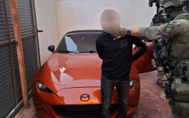 החשוד בגניבת הרכבים (צילום: דוברות המשטרה)