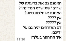 הודעה שקיבלה גאולה אבן סער (צילום: צילום מסך)