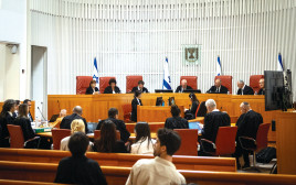 דיון בבג"ץ  (צילום:  חיים גולדברג, פלאש 90)