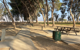 חורשת ערד  (צילום: באדיבות קק"ל)