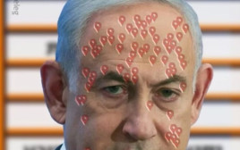 תמונתו של בנימין נתניהו שצורפה לפוסט המסית (צילום: דוברות המשטרה)