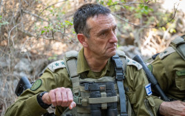 הרצי הלוי (צילום: דובר צה"ל)