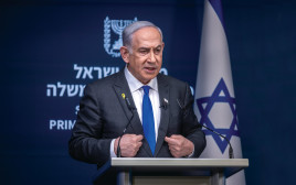 בנימין נתניהו (צילום: חיים גולדברג פלאש 90)