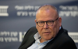 ארנון בר דוד (צילום: יונתן זינדל, פלאש 90)