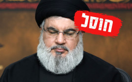 חסן נסראללה חוסל (צילום: מעריב אונליין)