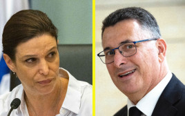 גדעון סער , אפרת רייטן (צילום: יונתן זינדל פלאש 90)