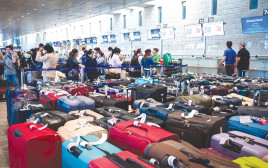 נתב"ג בשביתה (צילום: אבשלום ששוני)