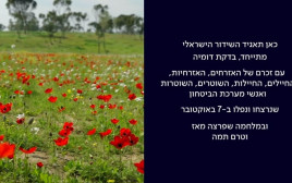 שקופית הזיכרון של התאגיד (צילום: כאן תאגיד השידור הישראלי)
