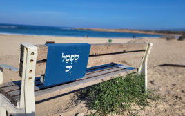 ספסל ים, תל דור  (צילום: שרית פלצי מיארה רשות הטבע והגנים)