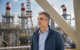 שר האנרגיה אלי כהן (צילום: אסף מגל לע"מ)