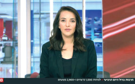 לוסי אהריש (צילום: צילום מסך)